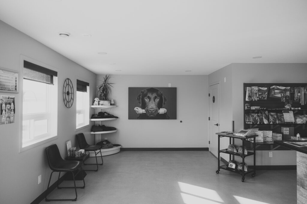Olds reception
