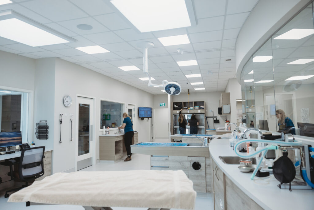 Sundre treatment